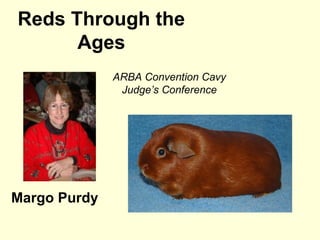 Reds Through the
      Ages
              ARBA Convention Cavy
               Judge’s Conference




Margo Purdy
 