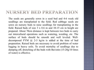 The seeds are generally sown in a seed bed and 4-6 week old
seedlings are transplanted to the field. Red cabbage seeds are
sown on nursery beds to raise seedlings for transplanting in the
field. Raised beds of size 3 x 0.6 m and 10-15 cm in height are
prepared. About 70cm distance is kept between two beds to carry
out intercultural operations such as watering, weeding, etc. The
surface of beds should be smooth and well leveled. Well-
decomposed FYM @ 2-3 kg/m is added at the time of bed
preparation. Raised beds are necessary to avoid problem of water
logging in heavy soils. To avoid mortality of seedlings due to
damping off, drenching of the beds with Bavistin (15-20g/10 litres
of water) is effective.
 