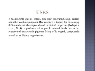 It has multiple uses as salads, cole slaw, sauerkraut, soup, curries
and other cooking purposes. Red cabbage is known for possessing
different chemical compounds and medicinal properties (Podsędek
et al., 2014). It produces red or purple colored heads due to the
presence of anthocyanin pigment. Many of its organic compounds
are taken as dietary supplements.
 