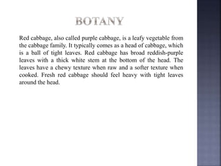 Red cabbage, also called purple cabbage, is a leafy vegetable from
the cabbage family. It typically comes as a head of cabbage, which
is a ball of tight leaves. Red cabbage has broad reddish-purple
leaves with a thick white stem at the bottom of the head. The
leaves have a chewy texture when raw and a softer texture when
cooked. Fresh red cabbage should feel heavy with tight leaves
around the head.
 