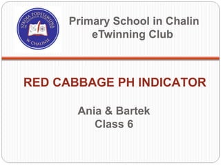 Primary School in Chalin
         eTwinning Club



RED CABBAGE PH INDICATOR

       Ania & Bartek
          Class 6
 
