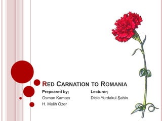 RED CARNATION TO ROMANIA
Prepeared by;   Lecturer;
Osman Kamacı    Dicle Yurdakul Şahin
H. Melih Özer
 
