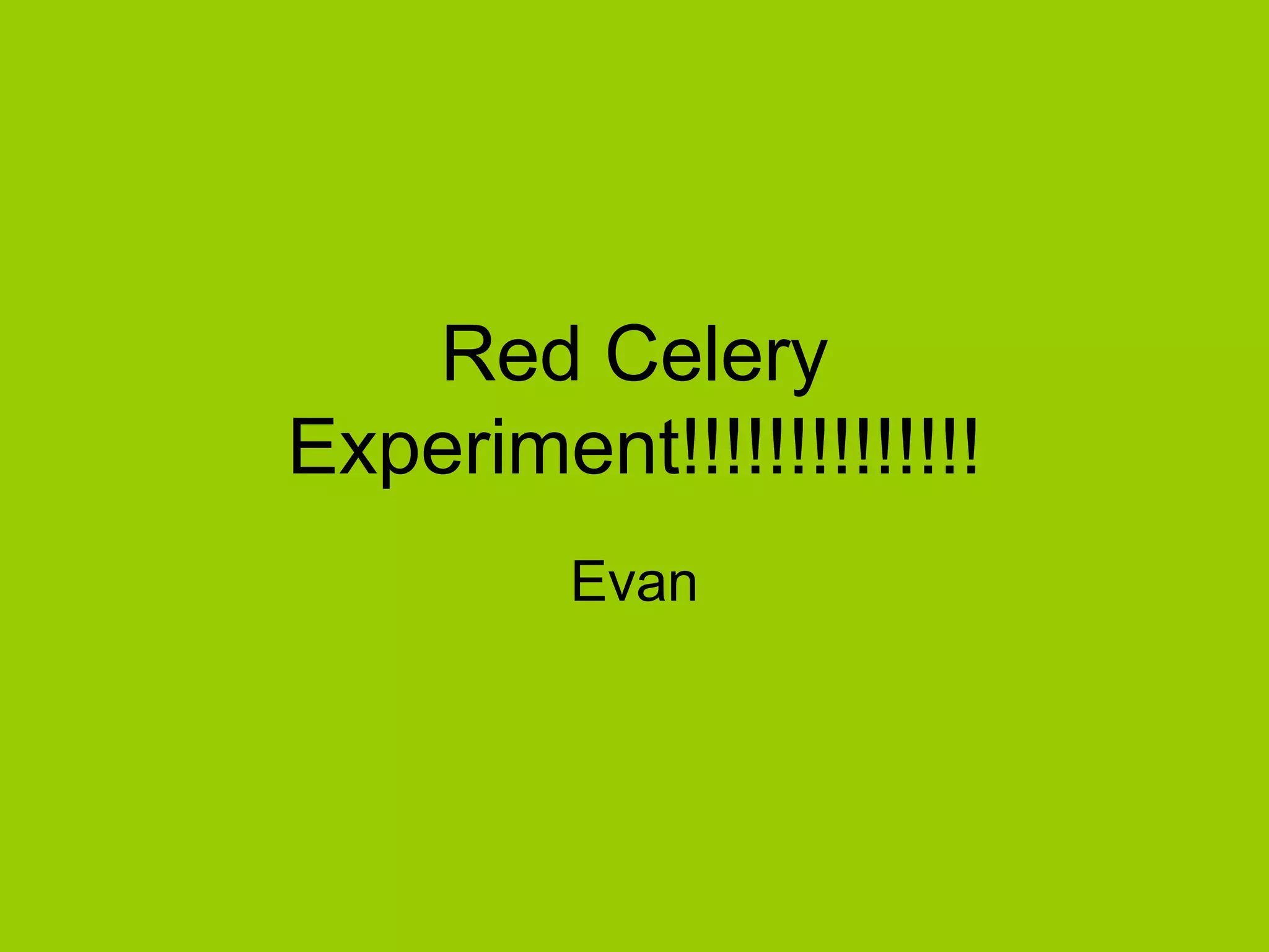 Red celery experiment!!!!!!!!!!!!!! PPT