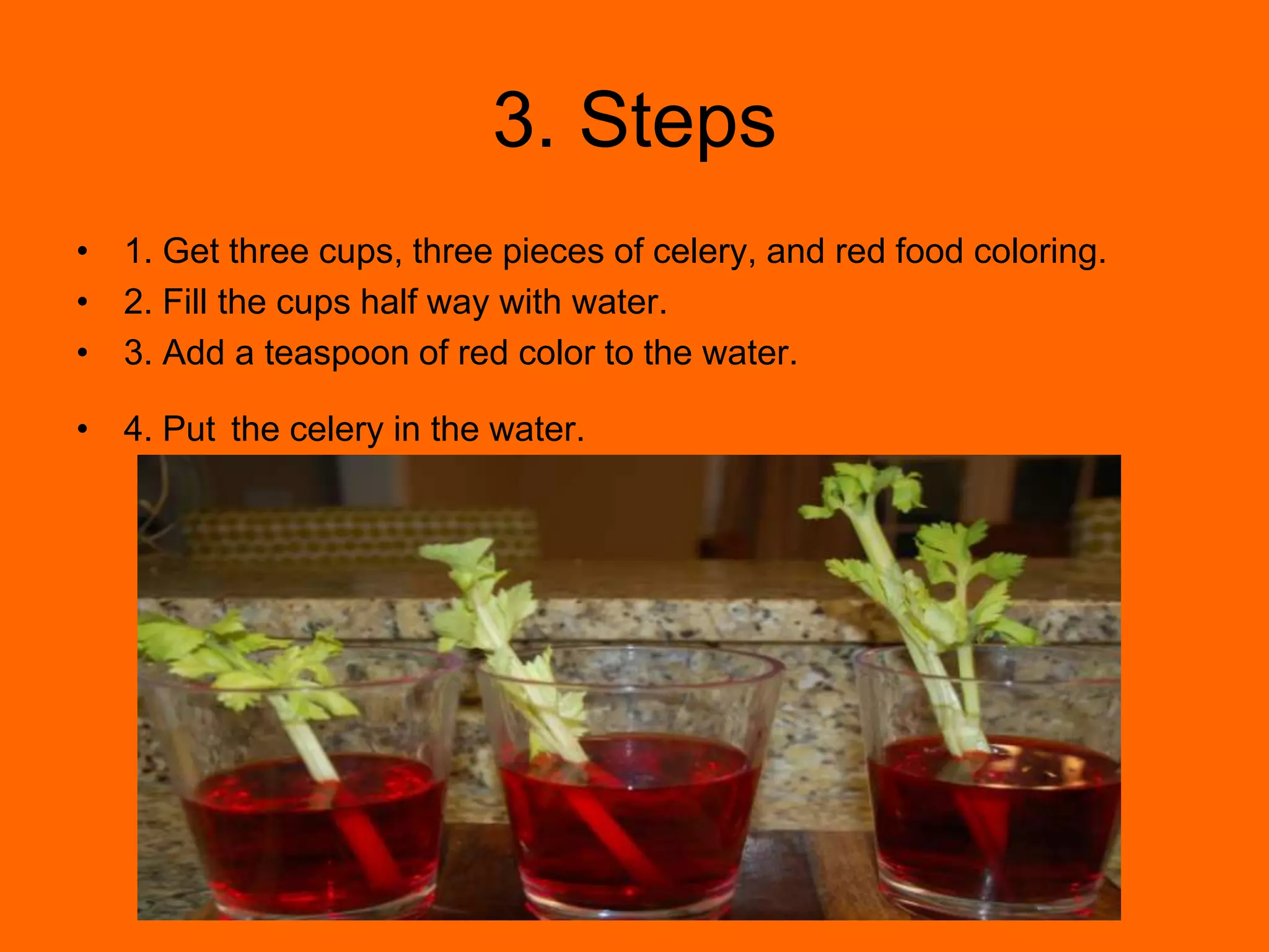 3. Steps1. Get three cups, three pieces of celery, and red food coloring.2. Fill the cups half way with water.3. Add a teaspoon of red color to the water.4. Putthe celery in the water.
