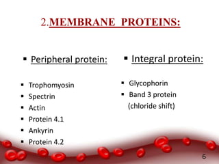 2.MEMBRANE PROTEINS:
 Peripheral protein:
 Trophomyosin
 Spectrin
 Actin
 Protein 4.1
 Ankyrin
 Protein 4.2
 Integral protein:
 Glycophorin
 Band 3 protein
(chloride shift)
6
 