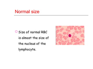 Red blood Cells Morphology detailed .ppt