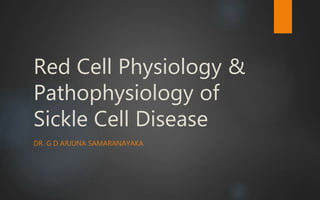 Red Cell Physiology &
Pathophysiology of
Sickle Cell Disease
DR. G D ARJUNA SAMARANAYAKA
 