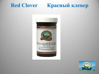 Red Сlover           Красный клевер




             http://dagas.fo.ru/
 