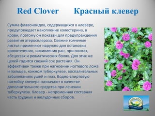 RedRed ССloverlover Красный клеверКрасный клевер
Сумма флавоноидов, содержащихся в клевере,
предупреждает накопление холестерина, в
крови, поэтому он показан для предупреждения
развития атеросклероза. Свежие толченые
листья применяют наружно для остановки
кровотечения, заживления ран, при ожогах,
абсцессах и ревматических болях. Для этих же
целей годится свежий сок растения. Он
эффективен также при нагноении ногтевого ложа
и пальцев, кожном туберкулезе, воспалительных
заболеваниях ушей и глаз. Водно-спиртовую
настойку клевера назначают в качестве
дополнительного средства при лечении
туберкулеза. Клевер - непременная составная
часть грудных и желудочных сборов.
 