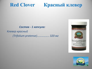 RedRed ССloverlover Красный клеверКрасный клевер
Состав - 1 капсула:
Клевер красный
(Trifolium рratense)…………….. 320 мг
 