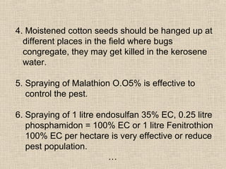 4. Moistened cotton seeds should be hanged up at
different places in the field where bugs
congregate, they may get killed in the kerosene
water.
5. Spraying of Malathion O.O5% is effective to
control the pest.
6. Spraying of 1 litre endosulfan 35% EC, 0.25 litre
phosphamidon = 100% EC or 1 litre Fenitrothion
100% EC per hectare is very effective or reduce
pest population.
…
 