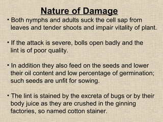 Nature of Damage
• Both nymphs and adults suck the cell sap from
leaves and tender shoots and impair vitality of plant.
• If the attack is severe, bolls open badly and the
lint is of poor quality.
• In addition they also feed on the seeds and lower
their oil content and low percentage of germination;
such seeds are unfit for sowing.
• The lint is stained by the excreta of bugs or by their
body juice as they are crushed in the ginning
factories, so named cotton stainer.
 