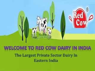 The Largest Private Sector Dairy In
Eastern India
 