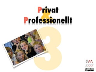 &
    Privat




  3
Professionellt
 