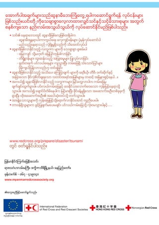 Redcross comic tsunami_myanmar