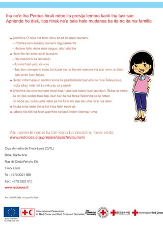 Redcross comic tsunami_timor