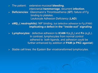  The patient: extensive mucosal bleeding,
intercranial hemmorrage, recurrent infection.
 Deficiencies: Glanzmann’s Thrombasthenia (GT): failure of Fg
binding to plateles.
Leukocyte Adhesion Deficiency (LAD)
 αMβ2 ( neutrophils): NIF binding, but defective adhesion to Fg (PAM)
implicating a defect in the “inside-out” signaling
 Lymphocytes: defective adhesion to ICAM-1(αLβ2) and Fn (α4β1).
In contrast, lymphocytes from normal control
adhered to both ligands, and adhesion could be
further enhanced by addition of PAM (a PKC agonist)
 Stable cell lines: the Epstein Bar virostransformed lymphocytes.
 