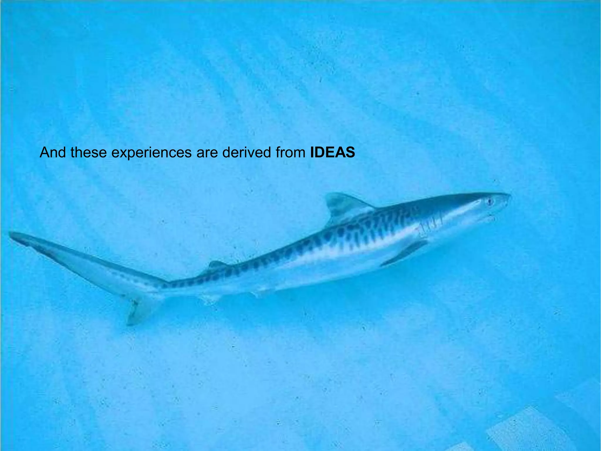 And these experiences are derived from IDEAS
 