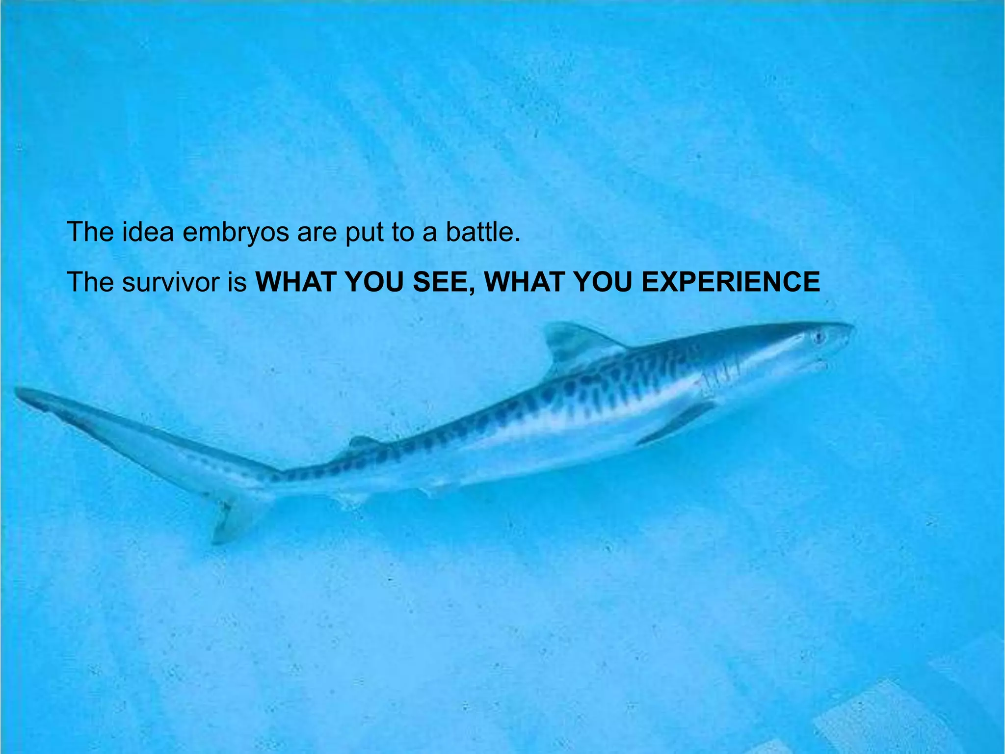 The idea embryos are put to a battle.
The survivor is WHAT YOU SEE, WHAT YOU EXPERIENCE
 