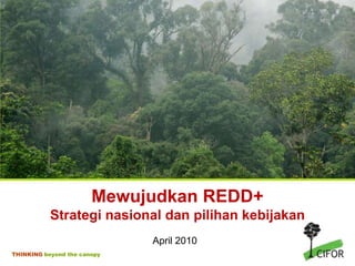 Mewujudkan REDD+Strategi nasional dan pilihan kebijakan April 2010 