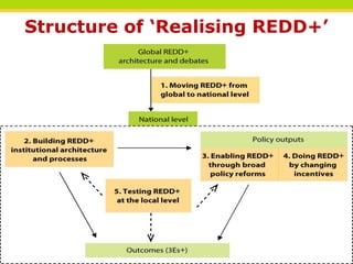 Structure of ‘Realising REDD+’