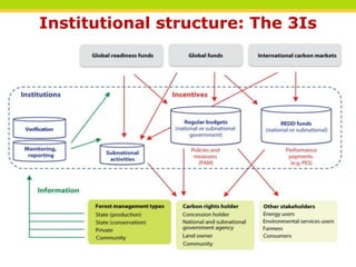 Institutional structure: The 3Is