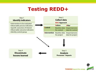 Planners versus searchersA lot of the REDD+ actions will be a failure (if we/they dare to evaluate them)More good questions than answersMake it a learning experience 'Learning while doing'Learning requires a systematic approach.Project designData collectionAnalysisLarge potential benefits: 5% of $10 billion 