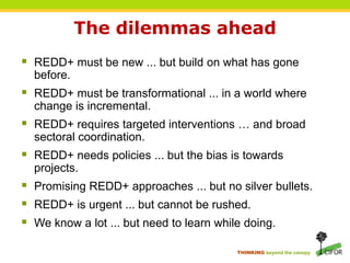 Key messagesREDD+ is a unique opportunityThe money and political will are there, but past performance is mixedContext matters: REDD+ policies need to work on two tracksStart long-term transformational reforms, or accelerate some of those ongoing (e.g. land titling cadastre)Start short-term policies, but identify ‘low-hanging fruits’; important also to demonstrate commitment: 'Yes we can – and will – do REDD'REDD is about PES-like performance-based paymentsBut strong preconditions apply  rely on some old approaches (e.g. protected areas)Learn from the past while moving forward