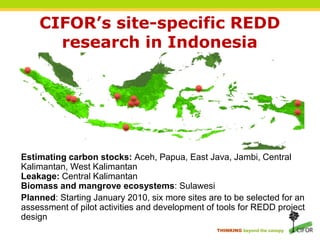Demonstration activities: Preliminary typologyPapua, undeterminedSumatra, undetermined27 REDD projects in Indonesia