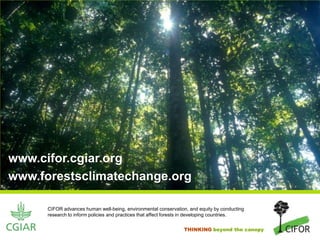 www.cifor.cgiar.orgwww.forestsclimatechange.org