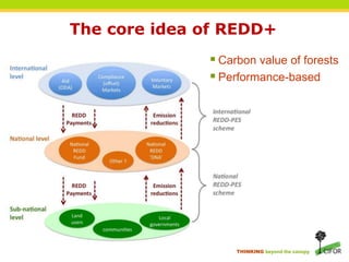The core idea of REDD+Carbon value of forests Performance-based
