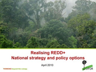 RealisingREDD+National strategy and policy options April 2010 