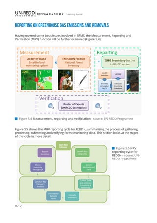 V-12
Learning Journal
Reporting on greenhouse gas emissions and removals
Having covered some basic issues involved in NFMS, the Measurement, Reporting and
Verification (MRV) function will be further examined (Figure 5.4).
 Figure 5.4 Measurement, reporting and verificiation - source: UN-REDD Programme
 Figure 5.5 MRV
reporting cycle for
REDD+ - source: UN-
REDD Programme
Figure 5.5 shows the MRV reporting cycle for REDD+, summarizing the process of gathering,
processing, submitting and verifying forest monitoring data. This section looks at the stages
of this cycle in more detail.
 