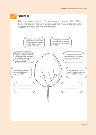 Chapter 6 | Forest Reference Emission Levels
VI-11
Exercise 11
There are many reasons for a country to develop FREL/FRLs,
circle the correct reasons below, use the two empty boxes to
suggest two reasons not mentioned:
Countries may wish to
express their contribution
to international mitigation
through REDD+ actions
under the UNFCCC.
A country may decide that
a FREL/FRL would provide
employment and increase
their GDP.
Countries may wish to assess
progress on the outcomes of
policies and measures taken
to mitigate climate change
in the forestry sector for
domestic reasons.
Countries may wish to
access results-based
payments (RBP).
A country decides that a
FREL/FRL would contribute
to an increase in tourist
numbers
A FREL/FRL would give a
country bragging rights at
the next COP meeting.
 