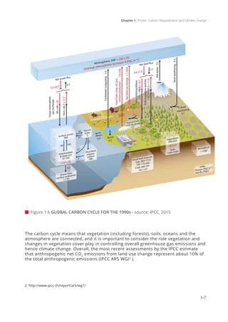 Chapter 1 | Forest, Carbon Sequestration and Climate Change
I-7
 Figure 1.6 GLOBAL CARBON CYCLE FOR THE 1990s - source: IPCC, 2015
The carbon cycle means that vegetation (including forests), soils, oceans and the
atmosphere are connected, and it is important to consider the role vegetation and
changes in vegetation cover play in controlling overall greenhouse gas emissions and
hence climate change. Overall, the most recent assessments by the IPCC estimate
that anthropogenic net CO2
emissions from land use change represent about 10% of
the total anthropogenic emissions (IPCC AR5 WGI2
).
2 http://www.ipcc.ch/report/ar5/wg1/
 