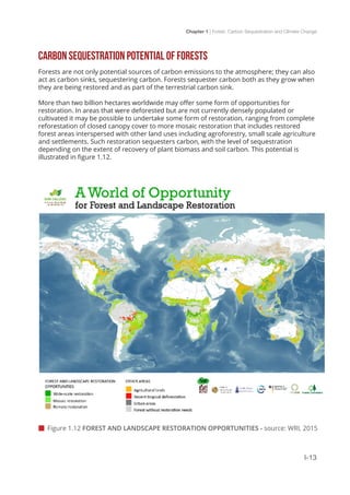 Chapter 1 | Forest, Carbon Sequestration and Climate Change
I-13
CARBON SEQUESTRATION POTENTIAL OF FORESTS
Forests are not only potential sources of carbon emissions to the atmosphere; they can also
act as carbon sinks, sequestering carbon. Forests sequester carbon both as they grow when
they are being restored and as part of the terrestrial carbon sink.
More than two billion hectares worldwide may offer some form of opportunities for
restoration. In areas that were deforested but are not currently densely populated or
cultivated it may be possible to undertake some form of restoration, ranging from complete
reforestation of closed canopy cover to more mosaic restoration that includes restored
forest areas interspersed with other land uses including agroforestry, small scale agriculture
and settlements. Such restoration sequesters carbon, with the level of sequestration
depending on the extent of recovery of plant biomass and soil carbon. This potential is
illustrated in figure 1.12.
 Figure 1.12 FOREST AND LANDSCAPE RESTORATION OPPORTUNITIES - source: WRI, 2015
 