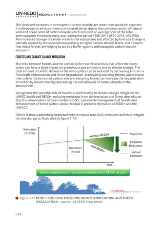 I-14
Learning Journal
 Figure 1.13 REDD = REDUCING EMISSIONS FROM DEFORESTATION AND FOREST 	 	 	
		 DEGRADATION - source: UN-REDD Programme
The observed increases in atmospheric carbon dioxide are lower than would be expected
if anthropogenic emissions were considered alone, due to the combined action of natural
land and ocean sinks of carbon dioxide which removed an average 55% of the total
anthropogenic emissions every year during the period 1958–2011 (IPCC 2013, AR5 WGI).
The increased storage of carbon in terrestrial ecosystems not affected by land use change is
partially caused by enhanced photosynthesis at higher carbon dioxide levels, and it means
that intact forests are helping to act as a buffer against anthropogenic carbon dioxide
emissions.
FORESTS AND CLIMATE CHANGE MITIGATION
The links between forests and the carbon cycle mean that actions that affect the forest
sector can have a large impact on greenhouse gas emissions and so climate change. The
total amount of carbon dioxide in the atmosphere can be reduced by decreasing emissions
from both deforestation and forest degradation. Maintaining standing forests can preserve
their role in the terrestrial carbon sink and restoring forests can increase the sequestration
of carbon by forests thereby decreasing the overall levels of carbon dioxide in the
atmosphere.
Recognizing the potential role of forests in contributing to climate change mitigation the
UNFCC developed REDD+, reducing emissions from deforestation and forest degradation
plus the conservation of forest carbon stocks, sustainable management of forests and
enhancement of forest carbon stocks. Module 2 presents the basics of REDD+ and the
UNFCCC.
REDD+ is thus a potentially important way to reduce total GHG emissions and thus mitigate
climate change as illustrated by figure 1.13.
 