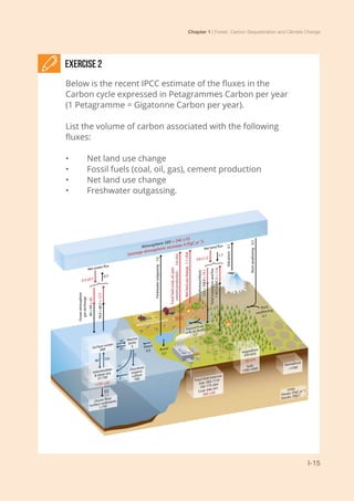 Chapter 1 | Forest, Carbon Sequestration and Climate Change
I-15
Exercise 2
Below is the recent IPCC estimate of the fluxes in the
Carbon cycle expressed in Petagrammes Carbon per year
(1 Petagramme = Gigatonne Carbon per year).
List the volume of carbon associated with the following
fluxes:
•	 Net land use change
•	 Fossil fuels (coal, oil, gas), cement production
•	 Net land use change
•	 Freshwater outgassing.
 