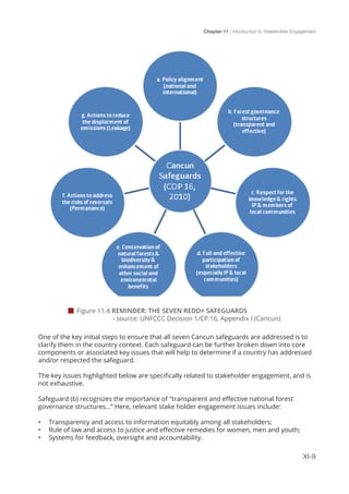 Chapter 11 | Introduction to Stakeholder Engagement
XI-9
 Figure 11.4 REMINDER: THE SEVEN REDD+ SAFEGUARDS 				 		
	 - source: UNFCCC Decision 1/CP.16, Appendix I (Cancun)
One of the key initial steps to ensure that all seven Cancun safeguards are addressed is to
clarify them in the country context. Each safeguard can be further broken down into core
components or associated key issues that will help to determine if a country has addressed
and/or respected the safeguard.
The key issues highlighted below are specifically related to stakeholder engagement, and is
not exhaustive.
Safeguard (b) recognizes the importance of "transparent and effective national forest
governance structures...” Here, relevant stake holder engagement issues include:
•	 Transparency and access to information equitably among all stakeholders;
•	 Rule of law and access to justice and effective remedies for women, men and youth;
•	 Systems for feedback, oversight and accountability.
 