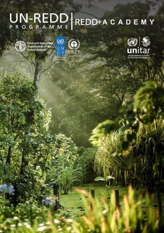 REDD academy learning journal