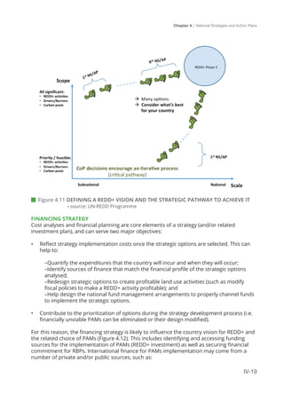 Chapter 4 | National Strategies and Action Plans
IV-19
 Figure 4.11 DEFINING A REDD+ VISION AND THE STRATEGIC PATHWAY TO ACHIEVE IT 		
	 - source: UN-REDD Programme
FINANCING STRATEGY
Cost analyses and financial planning are core elements of a strategy (and/or related
investment plan), and can serve two major objectives:
•	 Reflect strategy implementation costs once the strategic options are selected. This can
help to:
–Quantify the expenditures that the country will incur and when they will occur;
–Identify sources of finance that match the financial profile of the strategic options
analysed;
–Redesign strategic options to create profitable land use activities (such as modify
fiscal policies to make a REDD+ activity profitable); and
–Help design the national fund management arrangements to properly channel funds
to implement the strategic options.
•	 Contribute to the prioritization of options during the strategy development process (i.e.
financially unviable PAMs can be eliminated or their design modified).
For this reason, the financing strategy is likely to influence the country vision for REDD+ and
the related choice of PAMs (Figure 4.12). This includes identifying and accessing funding
sources for the implementation of PAMs (REDD+ investment) as well as securing financial
commitment for RBPs. International finance for PAMs implementation may come from a
number of private and/or public sources, such as:
 