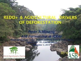 REDD+ & AGRICULTURAL DRIVERS
      OF DEFORESTATION

                    Peter A Minang
             ASB Partnership at ICRAF
  World Agroforestry Centre (ICRAF) Learning Event at Forest Day 4
                 UNFCCC COP 16 , Cancun Mexico
                         December 5, 2010
 