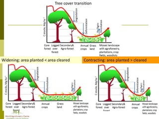 Redd+ & agricultural  drivers of deforestation