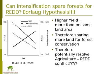 Redd+ & agricultural  drivers of deforestation