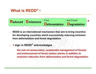 What is REDD+ ?

                           From               And Forest          +
Reduced Emissions
                   ...