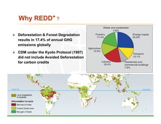 Why REDD+ ?

Deforestation & Forest Degradation
results in 17.4% of annual GHG
emissions globally

CDM under the Kyoto Pro...
