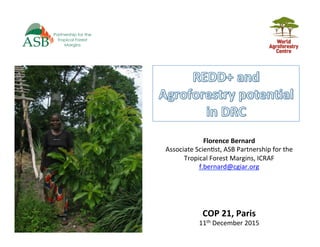 COP	21,	Paris	
11th	December	2015	
Florence	Bernard	
Associate	Scien5st,	ASB	Partnership	for	the	
Tropical	Forest	Margins,	ICRAF	
f.bernard@cgiar.org		
 
