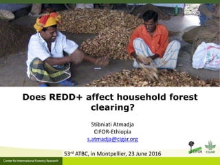 Is household forest clearing affected by REDD+?