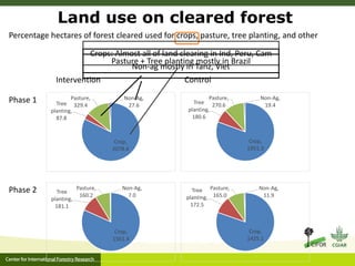 Is household forest clearing affected by REDD+?