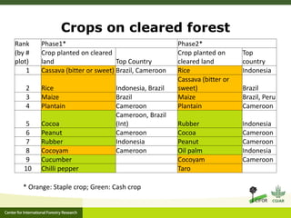Is household forest clearing affected by REDD+?